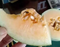 爆甜西州蜜哈密瓜新疆9新鮮水果應季時令現(xiàn)摘現(xiàn)發(fā)網(wǎng)紋精品整箱 9斤 曬單實拍圖