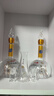 西鳳酒 華山論劍10年 52度 500ml*2瓶 禮盒裝 鳳香型白酒 升學(xué)宴 曬單實(shí)拍圖