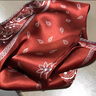 kt經(jīng)典紅色腰果花桑蠶絲真絲絲巾女百搭洋氣時(shí)尚雙層雙面圍巾長(cháng)飄帶 酒紅小果 曬單實(shí)拍圖