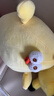 名創(chuàng  )優(yōu)品（MINISO）墩dun雞系列毛絨公仔玩具臥室教室辦公室睡覺(jué)抱枕生日禮物小號 曬單實(shí)拍圖