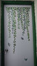 歐仕圖（OUSHITU）ins墻貼自粘 墻壁裝飾貼畫(huà)客廳過(guò)道墻面小清新貼紙玄關(guān)櫥窗墻貼紙 綠色蔓藤（大） 曬單實(shí)拍圖