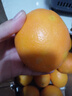 京鮮生 四川愛(ài)媛38號果凍橙 凈重4.5-5斤 單果170g+ 源頭直發(fā)包郵 曬單實(shí)拍圖