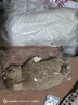 LIV HEART貴賓犬玩偶睡覺(jué)抱枕可愛(ài)狗狗毛絨兒童玩具陪睡公仔抱睡娃娃禮物女 米洛克貴賓犬牛奶白 L號（尺寸見(jiàn)詳情） 曬單實(shí)拍圖