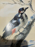 經(jīng)典全集【精裝】百態(tài)動(dòng)物插畫(huà)集 50位西方大師插畫(huà)作品集 鳥(niǎo)獸魚(yú)馬犬貓類(lèi)動(dòng)物插版畫(huà)博物畫(huà)圖譜原作正版臨摹教材 曬單實(shí)拍圖