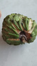 云果農鮮豐【順豐精品】鳳梨釋迦果新鮮當季水果彩箱佛頭果牛奶純甜大番荔枝 精品大果【凈重3-3.1斤】單果251g+ 曬單實(shí)拍圖