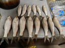 釣魚(yú)王土鯪魚(yú)餌料專(zhuān)攻廣東羅非魚(yú)大土鯪魚(yú)腥香奶香野釣黑坑鯽鯉餌窩料 釣魚(yú)王土鯪奶香350g 曬單實(shí)拍圖
