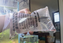 噢水噢觀賞蝦活體水族淡水小動物魚缸清潔除藻極火彩色觀賞魚水晶蝦壹 品質(zhì)櫻花40送10只備損 曬單實(shí)拍圖
