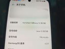 華為nova12活力版 手機支持NFC 前置6000萬(wàn)超廣角拍照 66W快充 120Hz高刷【24期|免息】 12號色 8GB+256GB 官方標配 曬單實(shí)拍圖