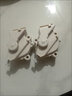 全自動(dòng)洗衣機雙行程排水電機排水閥通用QC2214681EN1008A 全自動(dòng)洗衣機牽引器雙行程排水電 曬單實(shí)拍圖