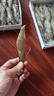 墨妍御鮮活凍黑虎蝦超大蝦類(lèi)大蝦老虎蝦對蝦鮮蝦海蝦生鮮 蝦類(lèi) 18-20只/盒 500g(凈重)  （5盒） 曬單實(shí)拍圖