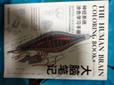 大腦筆記：腦科學(xué)版《秘密花園》神經(jīng)系統涂色學(xué)習手冊 曬單實(shí)拍圖