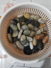 中卉雨花石子五彩石頭鋪面石陶?；ɑ軤I(yíng)養液生根粉復合肥荷塘泥鵝卵石 雨花石子400g 曬單實(shí)拍圖