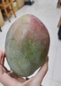 蕊鮮生攀枝花凱特芒果 9斤四川特大青芒果新鮮熱帶水果當(dāng)季現(xiàn)摘 2.5斤A級(jí)中果【3-5兩】實(shí)惠嘗鮮 曬單實(shí)拍圖