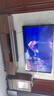 飛利浦（PHILIPS） EP200 DVD播放機(jī)CDVCD機(jī)影碟機(jī)播放器高清光盤(pán)HDMI視盤(pán)機(jī)兒童USB 標(biāo)配+2.0版本HDMI線 曬單實(shí)拍圖