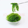 SMVP海葡萄鹽漬海葡萄新鮮活即食長壽菜海藻菜海菜壽司食用植物魚子醬 100g*12包海葡萄 配蘸料 曬單實拍圖
