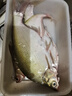 黃金眼 新款納米電子魚漂日夜兩用夜光浮漂加粗醒目高靈敏硬尾浮標(biāo) 新款電子漂H-009(電池型號(hào)CR425） 1號(hào)一支（送LED變色尾） 曬單實(shí)拍圖