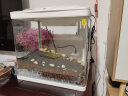 森森（SUNSUN）鱼缸水族箱桌面生态金鱼缸玻璃迷你小型客厅懒人免换水家用缸 (高清玻璃)白380(带20件套) 实拍图