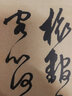 元·鮮于樞行草真跡冊 中國書法名碑名帖原色放大本 行草書法練習(xí)毛筆字帖 碑帖簡體旁注 湖南美術(shù)出版社 曬單實(shí)拍圖