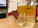 新奇一金絲皇菊一杯一朵特級大朵菊花茶湖北麻城特產(chǎn)高山代用茶10g罐裝 金絲皇菊一杯一朵 金絲皇菊10g*罐10g 曬單實(shí)拍圖