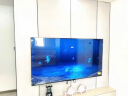 海尔（Haier）LU55C8  55英寸4K全面屏幕智能音画质客厅平板液晶电视机家用彩电AI远场语音2+16G以旧换新65 实拍图