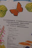 當當正版童書 樂樂趣亮麗精美觸摸書 樂樂趣小火箭成長百科翻翻書AI智能點讀筆禮盒  雙語認知+科普入門 海量優(yōu)質資源 一筆到手 0-6歲幼兒早教玩具  小兔比利 小熊波比 曬單實拍圖