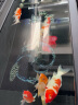Depontaqua鱼缸硝化细菌原液水族箱高浓度益生菌观赏鱼消化细菌活菌 硝化细菌700ml 实拍图
