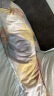 安睡宝（SOMERELLE）枕芯 全棉杜邦抗菌可水洗七孔纤维枕头 双人款（附枕套）48*150cm 实拍图