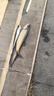 YGK A-LK8編pe線路亞專用線順滑遠投線正品進口原絲PE線釣魚線路亞線 YGK A-LK【X8編 正品】150米 0.6# 曬單實拍圖
