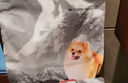力狼狗糧幼犬益生菌主糧泰迪比熊博美薩摩邊牧哈士奇大中小型犬通用型 【幼犬專(zhuān)用】益生菌犬糧5kg10斤 曬單實(shí)拍圖
