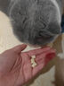小毛豆彩虹桶零食凍干桶貓咪排毛潔齒夾心凍干貓咪零食凍干 【嘗鮮】排毛潔齒凍干10g*2包 曬單實拍圖