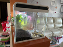 森森（SUNSUN）超白玻璃魚(yú)缸一體缸自循環(huán)客廳小型家用水族箱生態(tài)免換水金魚(yú)缸 HE-300超白缸 內置棉和濾材 曬單實(shí)拍圖