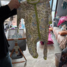 babycare寶寶衣服純棉春秋嬰幼兒包屁衣哈衣新生兒連體衣 哈特青蔥綠 90cm 曬單實(shí)拍圖