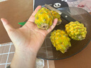 順豐正宗海南麒麟果燕窩果5斤 新鮮罕見特產(chǎn)白心黃火龍果整箱禮盒 3斤 順豐快遞 2-3兩 曬單實(shí)拍圖