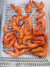GUO LIAN國聯(lián)水產(chǎn) 白蝦大蝦沙特蝦 白對蝦加大號 活蝦急凍 蝦類(lèi) 盒裝活凍 加大號鹽凍沙特蝦 4斤(凈重) 曬單實(shí)拍圖