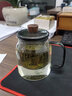 美斯尼 玻璃茶具茶壺泡茶壺加厚耐熱玻璃茶壺泡茶壺彩色玻璃功夫茶具帶過濾內(nèi)膽帶把手涼水壺辦公家用茶壺 一壺二杯 曬單實拍圖