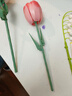 費米兼容樂高兒童鮮花坊積木男女孩拼裝玩具生日禮物花束含笑花S2251 曬單實拍圖