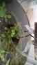希凡里小水泵微型魚(yú)缸潛水泵過(guò)濾泵假山盆景水族箱抽水泵風(fēng)水輪水泵 2.5W無(wú)燈泵 曬單實(shí)拍圖