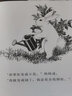 逃家小兔 精裝硬殼 彩圖注音版 瑪格麗特代表作 一年級語(yǔ)文同步閱讀 3-6 歲親子共讀母愛(ài)繪本  經(jīng)典兒童繪本故事書(shū) 逃家小兔 曬單實(shí)拍圖