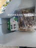 現(xiàn)切魷魚須小腳新鮮冷凍火鍋燒烤鐵板批發(fā)海鮮水產(chǎn) 5斤裝 現(xiàn)切鮮嫩小魷魚須 曬單實拍圖