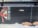 馬印神燈 金龍魚專用燈 魚缸燈LED防水燈雙模式金藍(lán)白增艷燈草燈 92CM金光25W/藍(lán)光28W 雙光可切換 曬單實拍圖