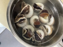 香螺玉螺貓眼螺鮮活速凍有黃大東港海鮮海螺貝類新鮮 香螺 500g 曬單實(shí)拍圖