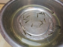 大草魚苗淡水養(yǎng)殖半斤一斤20厘米活體皖魚螺螄青魚苗可食用觀賞冷水魚小魚苗特大草魚魚苗批發(fā) 優(yōu)質草魚苗 50條6-8厘米(加10%防損) 曬單實拍圖