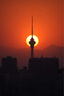適馬（SIGMA）500mm F5.6 DG DN OS Sports 全畫(huà)幅無(wú)反遠(yuǎn)攝定焦鏡頭 索尼E口 曬單實(shí)拍圖