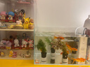 瘋狂水草魚(yú)缸造景水草水培綠植養魚(yú)水草綠菊種植環(huán)魚(yú)缸套餐d 源頭直發(fā)包郵 曬單實(shí)拍圖