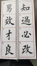 eranc歐體楷書(shū)千字文書(shū)法近距離臨摹字卡高清大字9厘米格子上下冊 田楷千字文臨摹字帖（上下冊） OY環(huán)裝11*38cm上下冊共250頁(yè) 曬單實(shí)拍圖
