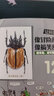 酷蟲學(xué)校系列全套12冊6-9-12歲兒童科普漫畫酷蟲學(xué)院昆蟲知識科普大百科小學(xué)生一二三四五六年級課外 曬單實拍圖