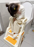 煦凜【日本】兒童坐便器0-3-6-12歲樓梯式男女寶寶階梯折疊架坐便圈凳 【云錦黃】PVC軟墊 曬單實(shí)拍圖