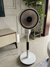 松下（Panasonic）空氣循環(huán)扇電風(fēng)扇落地扇 直流變頻家用磁吸遙控電扇 柔風(fēng)定時(shí)節(jié)能靜音風(fēng)扇 升級(jí)【氛圍燈款】F-CW1802C 曬單實(shí)拍圖