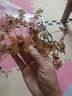 新娘古裝頭飾鳳冠禾秀服配飾圓形發(fā)冠中式結婚流蘇發(fā)飾 鳳冠+耳環(huán)夾 曬單實(shí)拍圖