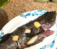 豪客仕石斑魚(yú)野外生長(cháng)海捕龍膽珍珠斑 老虎斑生鮮魚(yú)類(lèi)海鮮smzdm 凈重 4斤 【1-1.5斤/條 】 深海石斑魚(yú) 曬單實(shí)拍圖